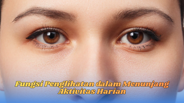 fungsi penglihatan